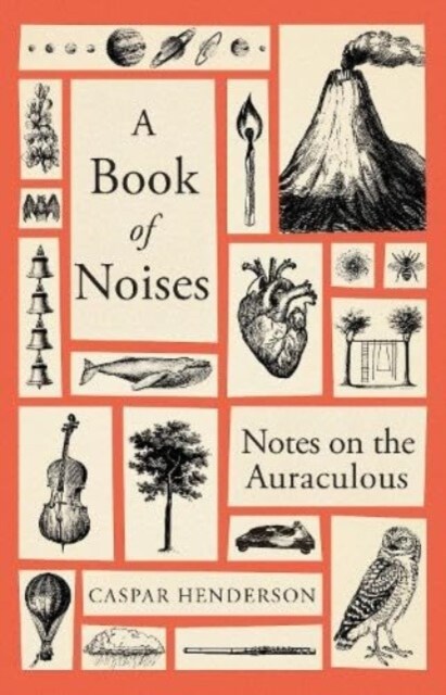 A Book of Noises : Notes on the Auraculous (Hardcover)