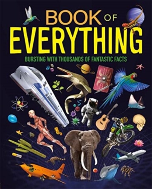 Book of Everything (Hardcover)