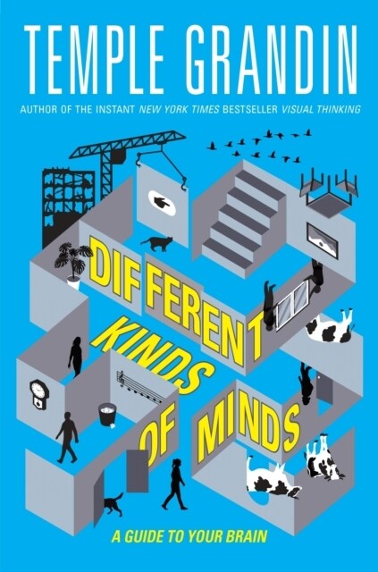 Different Kinds of Minds : A Guide to Your Brain (Paperback)