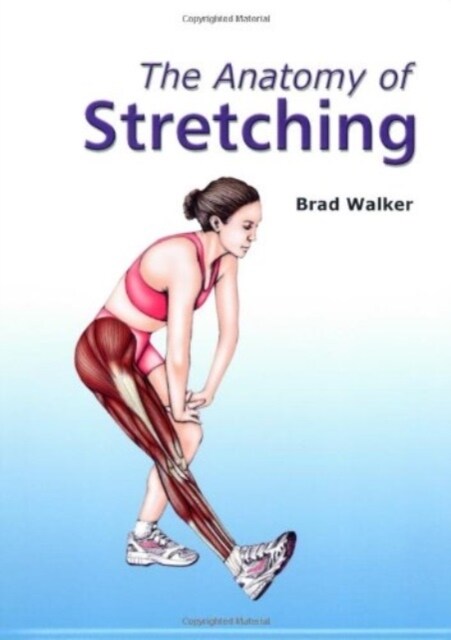 The Anatomy of Stretching (Paperback)