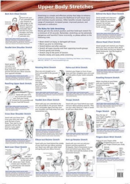 Upper Body Stretches (Wallchart)