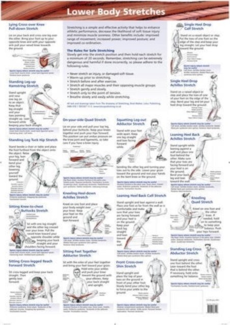 Lower Body Stretches (Wallchart)