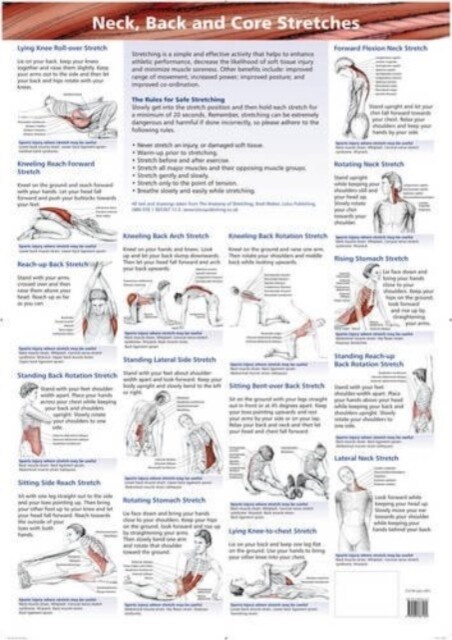 Neck, Back and Core Stretches (Wallchart)