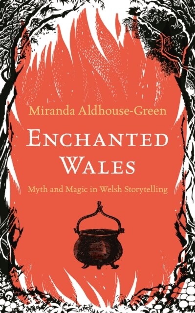 Enchanted Wales : Myth and Magic in Welsh Storytelling (Hardcover)