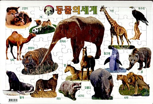 동물의 세계 (80조각)