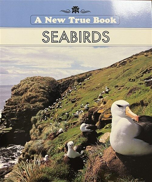 [중고] Seabirds (Paperback)