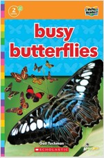Hello Reader #29: Busy Butterflies (Level2) (Paperback + StoryPlus QR)