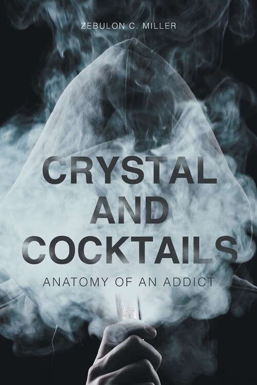 Crystal and Cocktails: Anatomy of an Addict (Paperback)