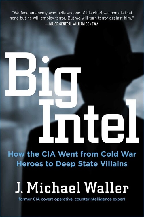 Big Intel: How the CIA and FBI Went from Cold War Heroes to Deep State Villains (Hardcover)