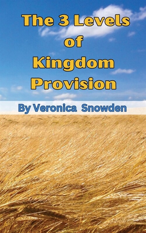 The 3 Levels of Kingdom Provision: Discover How God Provides For His Children Regardless of Income, Education or Background (Paperback)