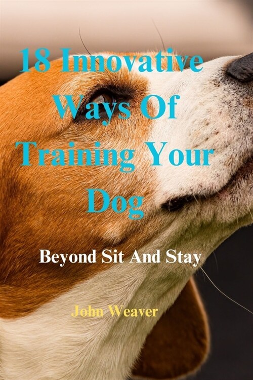 18 innovative ways of training your dog: Beyond sit and stay (Paperback)