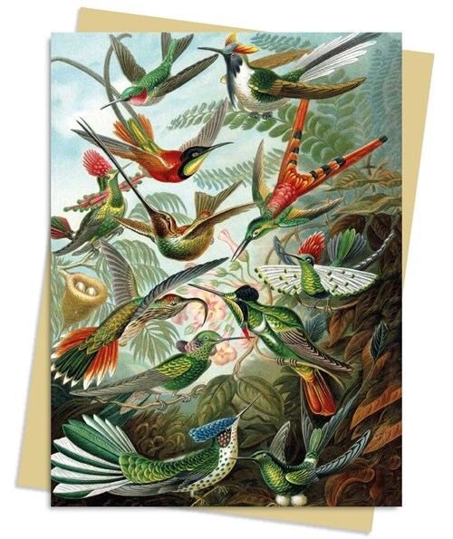 Ernst Haeckel: Hummingbirds Greeting Card Pack : Pack of 6 (Cards, Pack of 6)