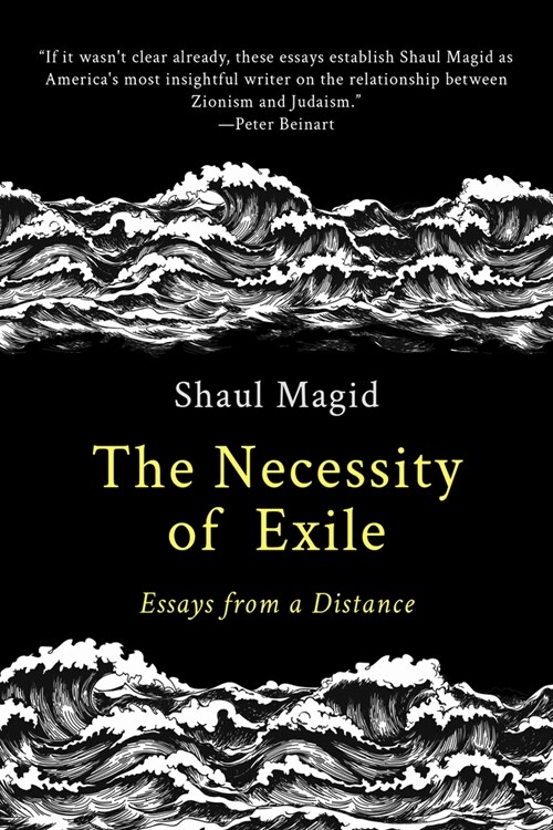 The Necessity of Exile: Essays from a Distance (Paperback)