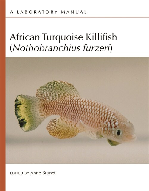 African Turquoise Killifish (Nothobranchius Furzeri): A Laboratory Manual (Paperback)