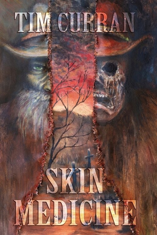 Skin Medicine (Paperback)