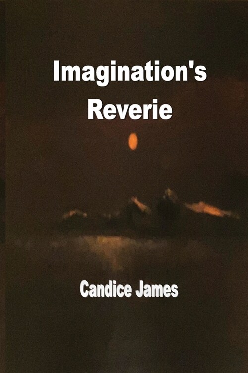 Imaginations Reverie (Paperback)