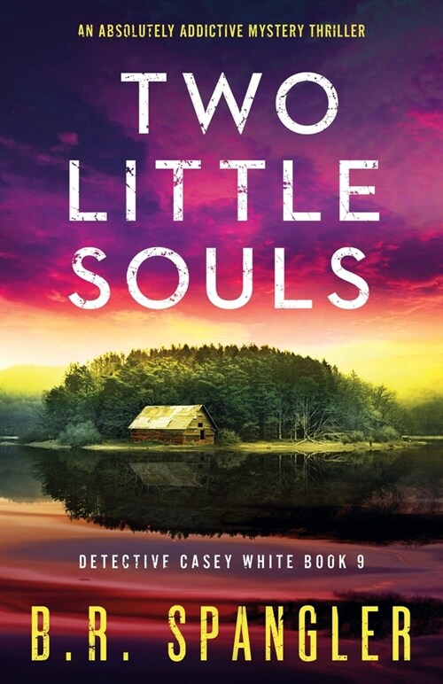 Two Little Souls: An absolutely addictive mystery thriller (Paperback)