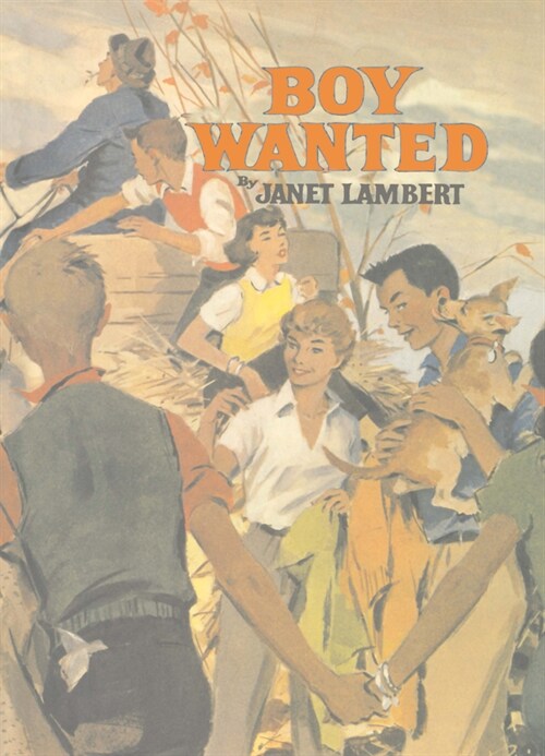 Boy Wanted (Paperback)
