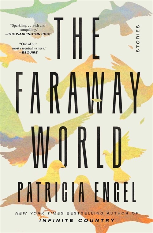 The Faraway World: Stories (Paperback)