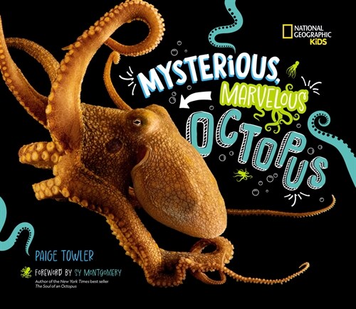 Mysterious, Marvelous Octopus (Library Binding)