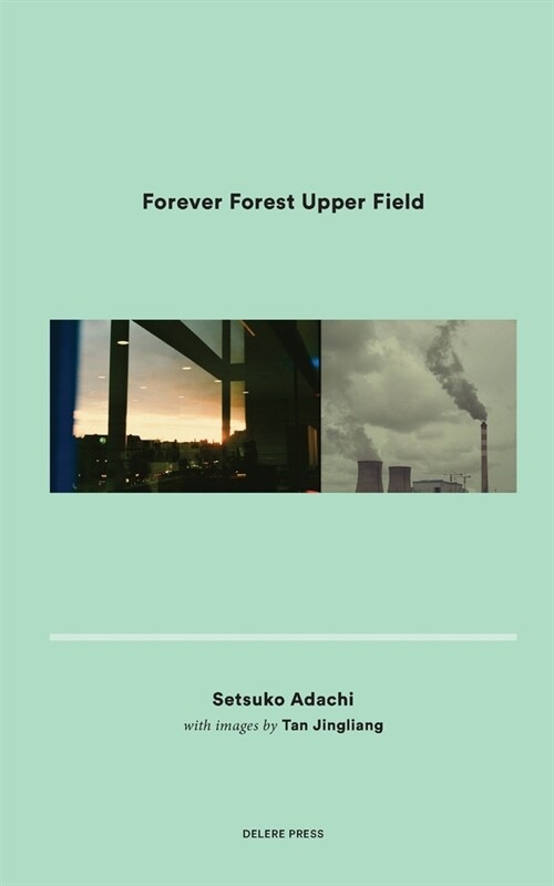 Forever Forest Upper Field (Paperback)