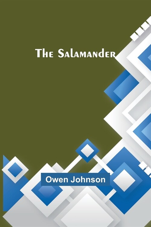 The Salamander (Paperback)
