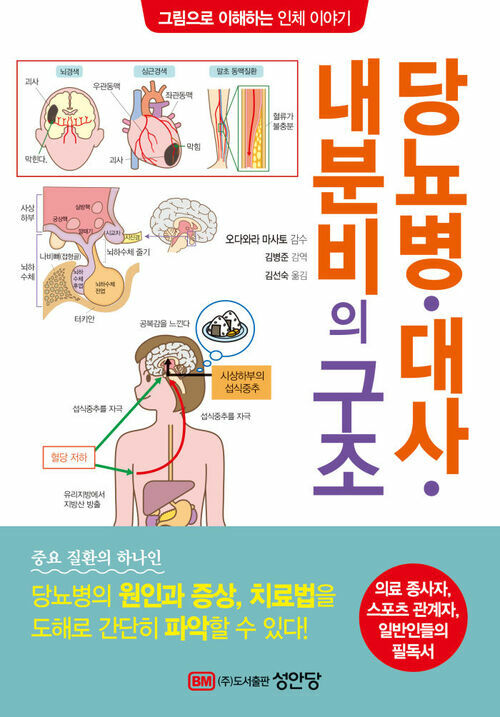 당뇨병·대사·내분비의 구조