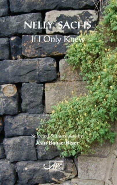 If I Only Knew (Paperback)