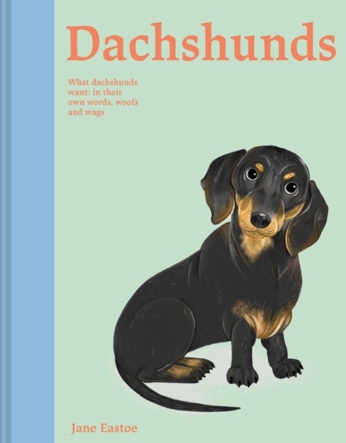 Dachshunds : What Dachshunds want: in their own words, woofs and wags (Hardcover)