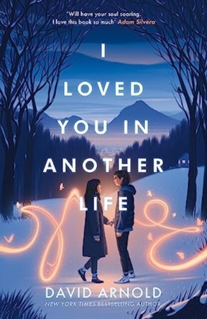 I Loved You In Another Life (Paperback)