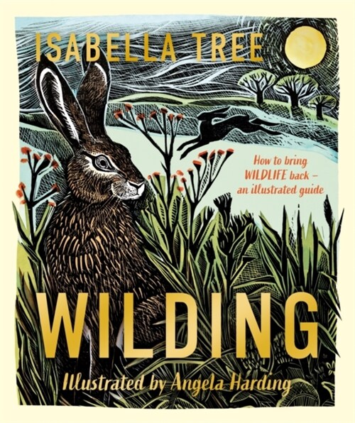 Wilding: How to Bring Wildlife Back - The NEW Illustrated Guide (Hardcover)
