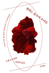잠자는 숲속의 소녀들 커버