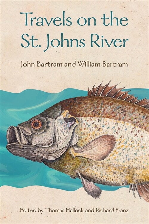 Travels on the St. Johns River (Paperback)