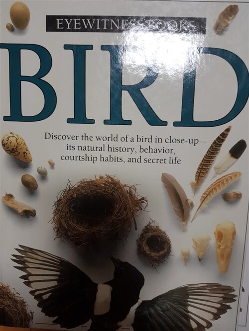 [중고] Eyewitness: Bird (Hardcover, 1st)