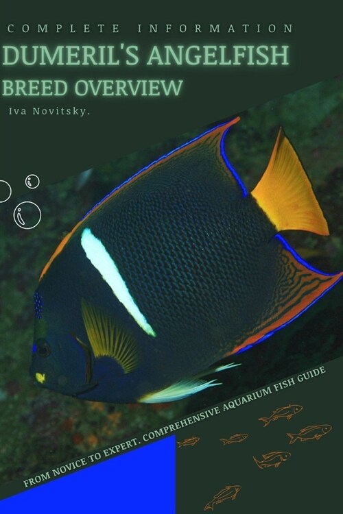 Dumerils Angelfish: From Novice to Expert. Comprehensive Aquarium Fish Guide (Paperback)