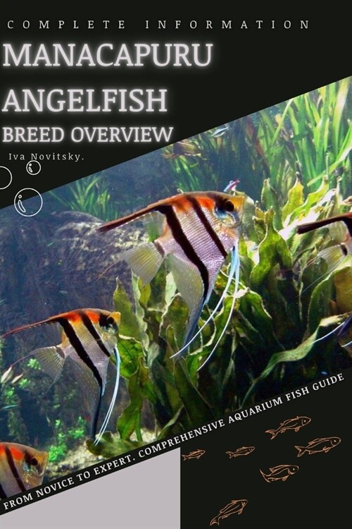 Manacapuru Angelfish: From Novice to Expert. Comprehensive Aquarium Fish Guide (Paperback)