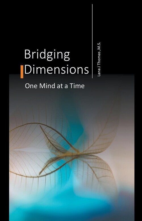 Bridging Dimensions One Mind at a Time (Paperback)