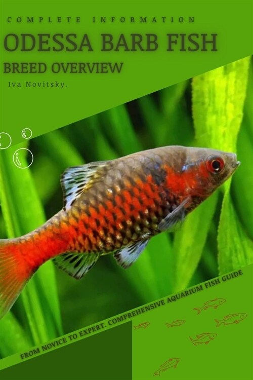 Odessa Barb Fish: From Novice to Expert. Comprehensive Aquarium Fish Guide (Paperback)