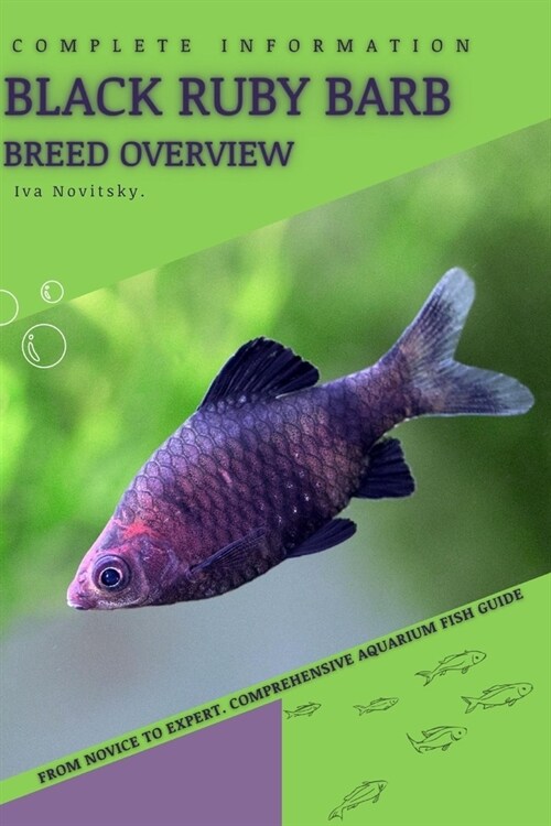 Black Ruby Barb: From Novice to Expert. Comprehensive Aquarium Fish Guide (Paperback)