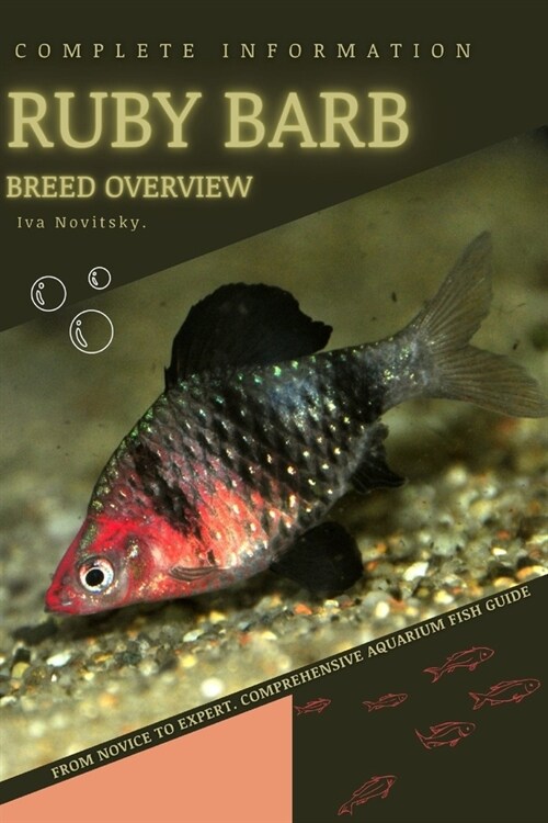 Ruby Barb: From Novice to Expert. Comprehensive Aquarium Fish Guide (Paperback)