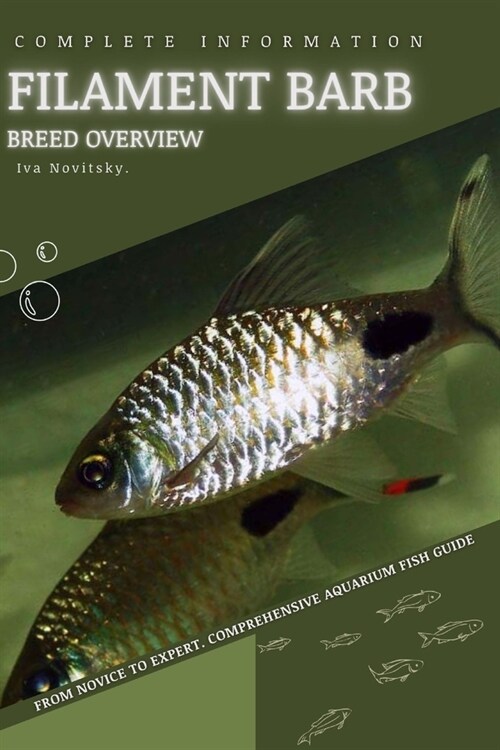 Filament Barb: From Novice to Expert. Comprehensive Aquarium Fish Guide (Paperback)