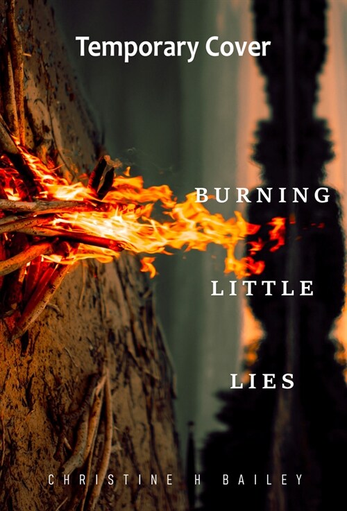 Burning Little Lies (Paperback)