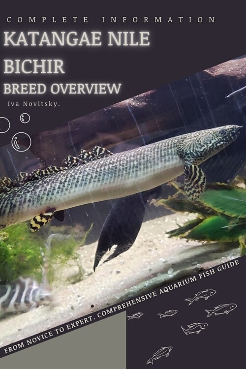 Katangae Nile Bichir: From Novice to Expert. Comprehensive Aquarium Fish Guide (Paperback)