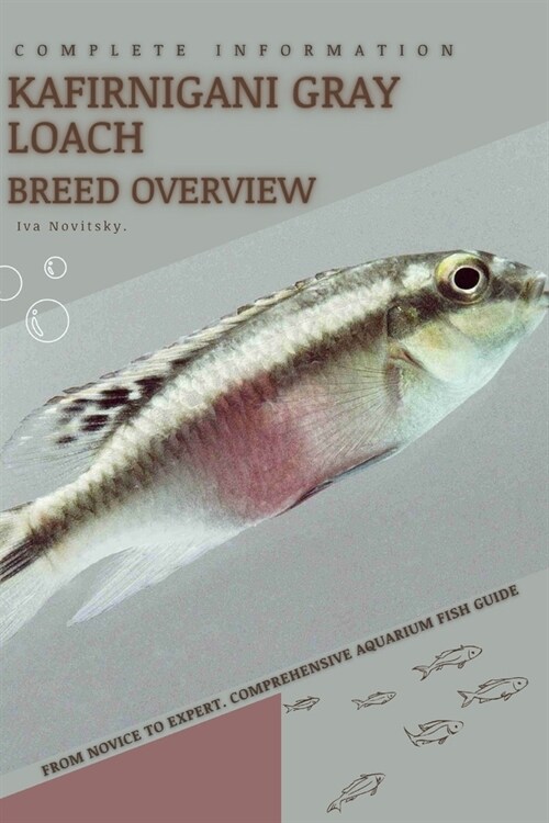 Kafirnigani Gray Loach: From Novice to Expert. Comprehensive Aquarium Fish Guide (Paperback)