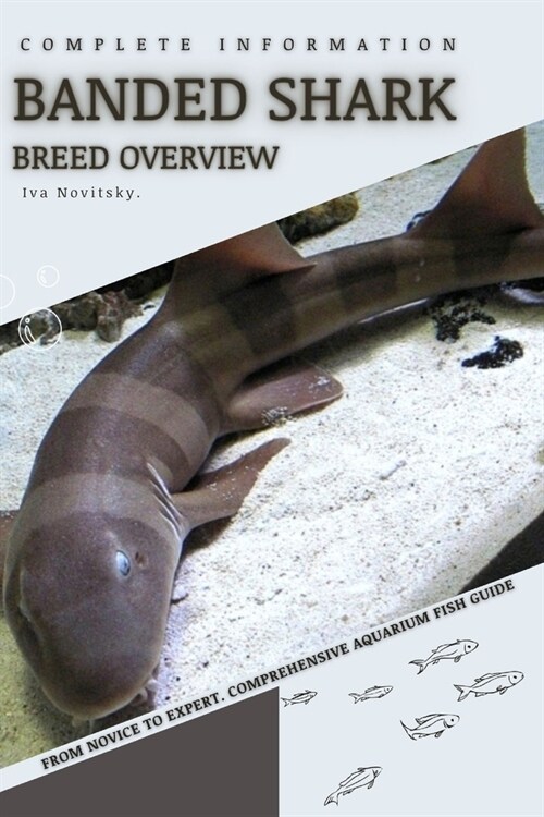 Banded Shark: From Novice to Expert. Comprehensive Aquarium Fish Guide (Paperback)