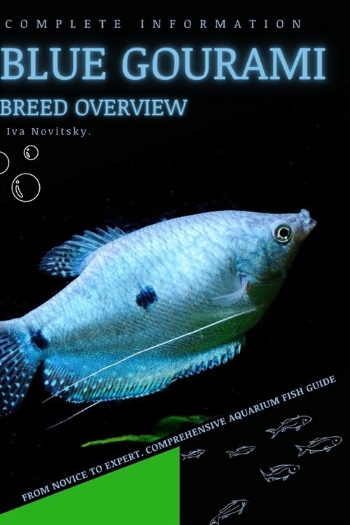 Blue Gourami: From Novice to Expert. Comprehensive Aquarium Fish Guide (Paperback)