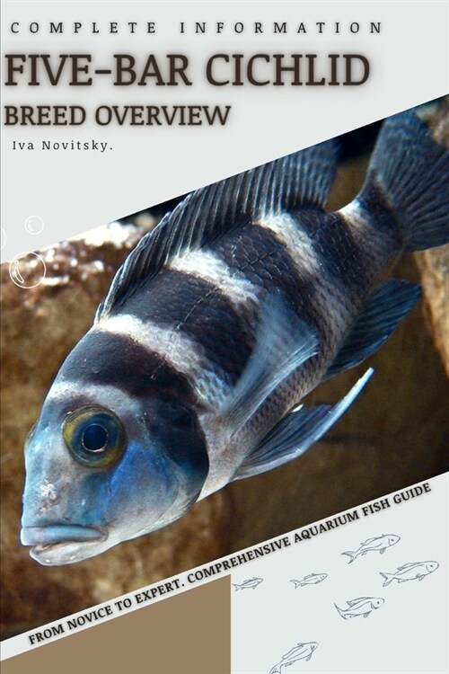Five-bar Cichlid: From Novice to Expert. Comprehensive Aquarium Fish Guide (Paperback)