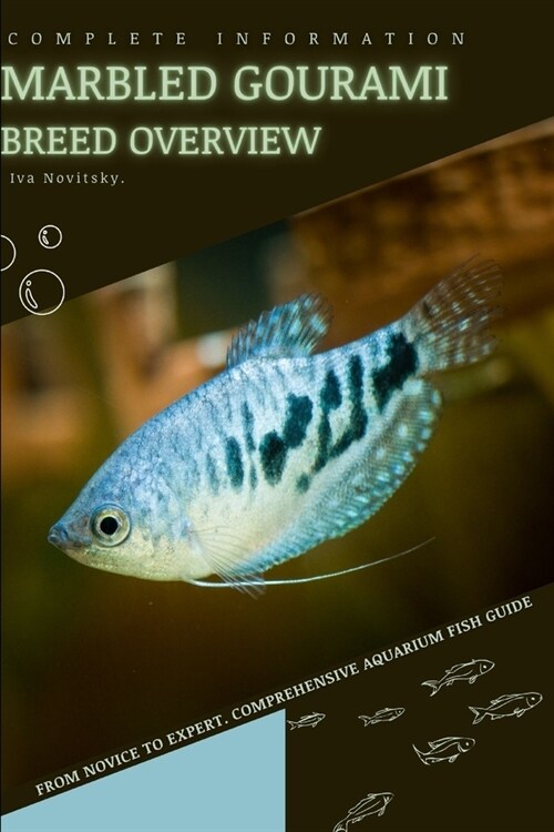Marbled Gourami: From Novice to Expert. Comprehensive Aquarium Fish Guide (Paperback)