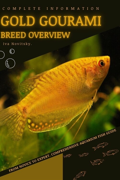 Gold Gourami: From Novice to Expert. Comprehensive Aquarium Fish Guide (Paperback)