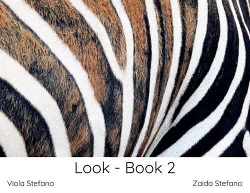 Look - Book 2 (Paperback)